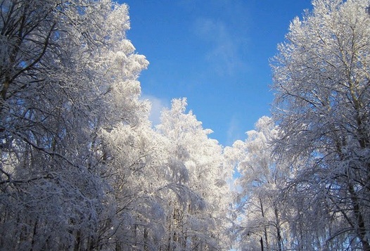 METEO. ANM a emis o informare de ninsori si viscol valabila pana in 10 ianuarie